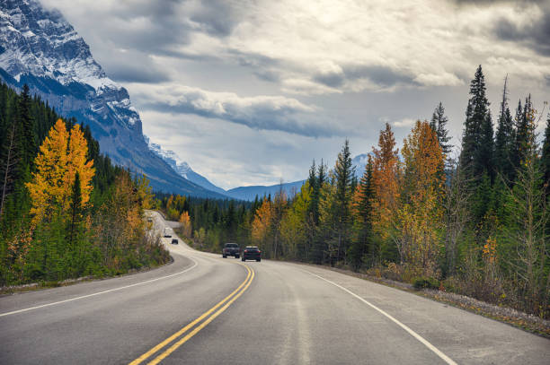 istock Highway with rocky mountains in autumn forest 1200986263