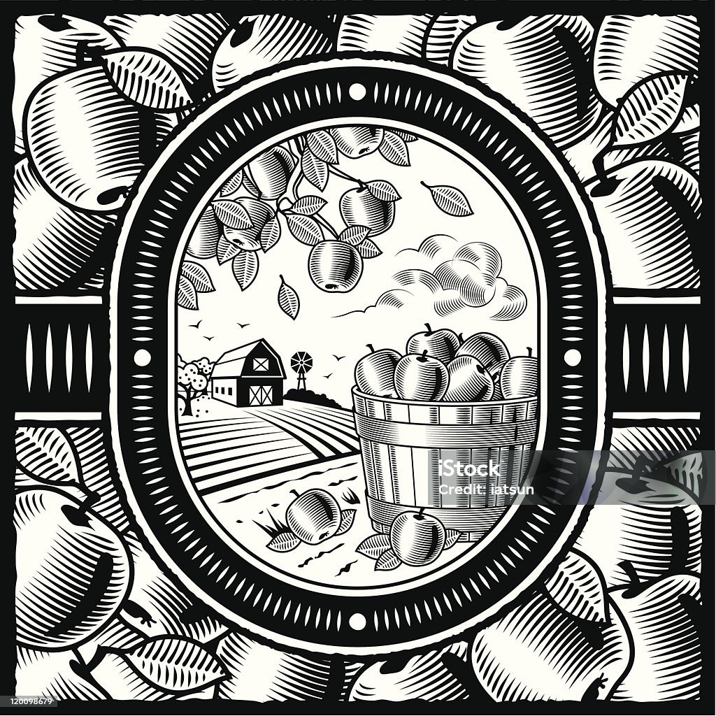 アップルハーヴェストブラックとホワイト - リンゴ園のロイヤリティフリーベクトルアート