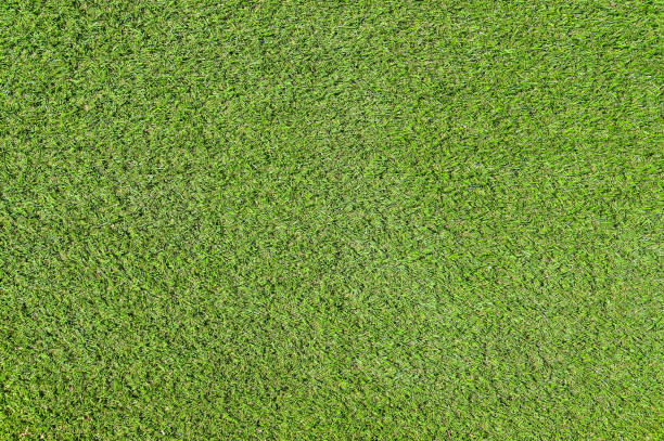 istock Artificial Grass Field Top View Texture use us sport stadium or construction decor natural backdrop design 1200988221