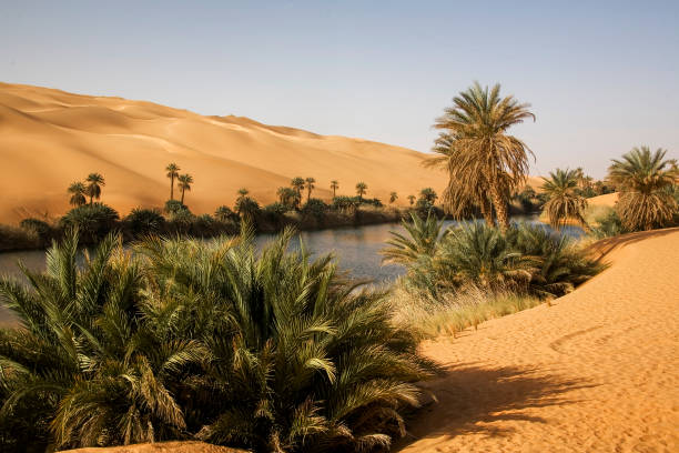 istock Mandara Lake Erg Ubari Libya 1200988690