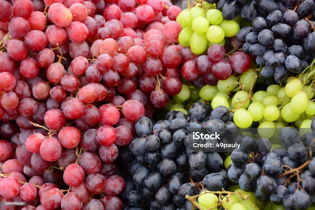 Bunch of organic grapes. Organic bunch of colorful grapes for sale on a marketstall. Grape Stock Photo