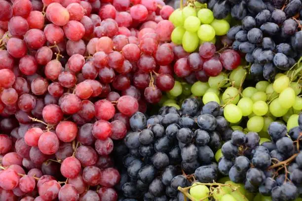 Organic bunch of colorful grapes for sale on a marketstall.