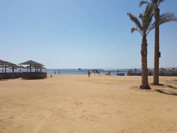 istock a beach with huts and some people 1200996662
