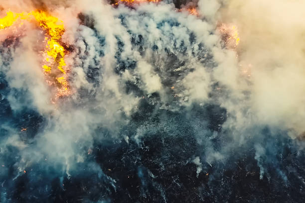 incendios en el bosque ruso, bosque transbaikal en llamas, quema de - república de sakha fotografías e imágenes de stock