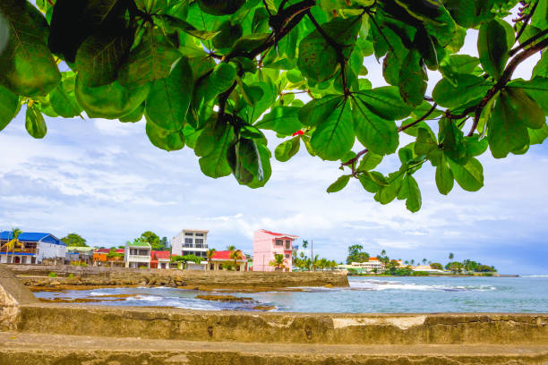 코스타리카의 포트 리몬 항구 - costa rica beach palm tree tree 뉴스 사진 이미지