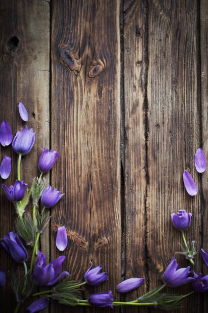 istock spring purple flowers on old wooden background 1201000239