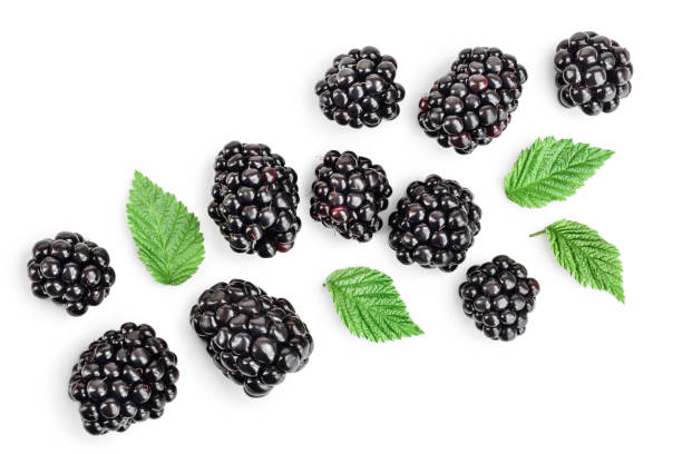 istock Fresh blackberry with leaves isolated on white background. Top view. Flat lay pattern 1201002317