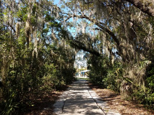 istock path or trail and moss hanging from trees and playground in Florida 1201005300