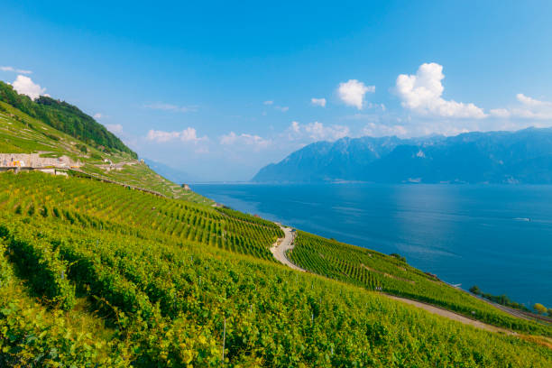 istock Lake Geneva with the Alps in the background 1201005348