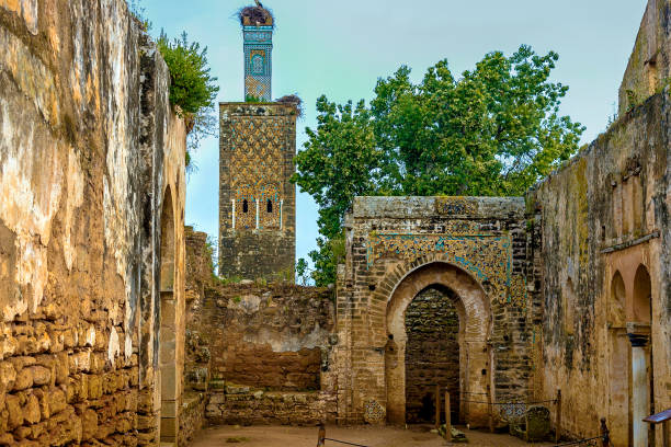 Ruins of the Roman city known as Sala Colonia and the Islamic complex of Chellah, mosque and minaret ruined. Ruins of the Roman city known as Sala Colonia and the Islamic complex of Chellah, mosque and minaret ruined. Chellah is the necropolis of Rabat. Morocco. sala colonia stock pictures, royalty-free photos & images