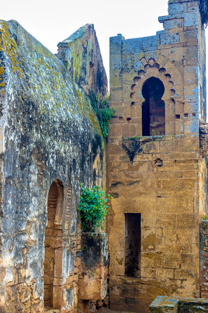 Ruins of the Roman city known as Sala Colonia and the Islamic complex of Chellah, mosque and minaret ruined. Ruins of the Roman city known as Sala Colonia and the Islamic complex of Chellah, mosque and minaret ruined. Chellah is the necropolis of Rabat. Morocco. sala colonia stock pictures, royalty-free photos & images