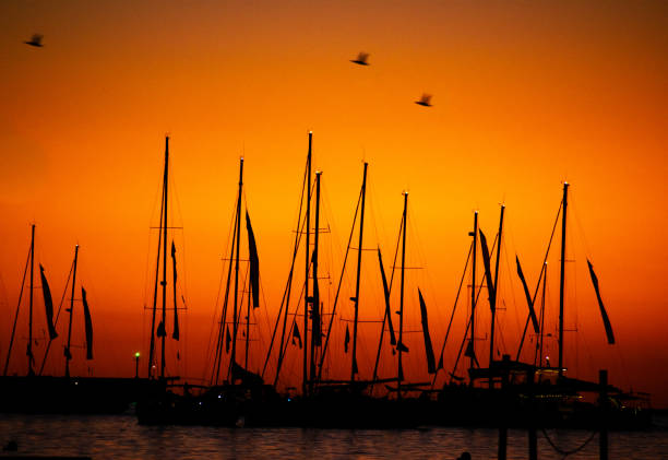 istock Boats and birds at sunset 1201007354