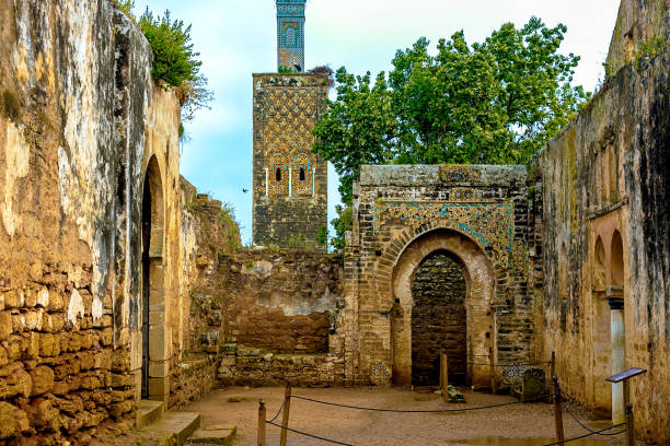 Ruins of the Roman city known as Sala Colonia and the Islamic complex of Chellah, mosque and minaret ruined. Ruins of the Roman city known as Sala Colonia and the Islamic complex of Chellah, mosque and minaret ruined. Chellah is the necropolis of Rabat. Morocco. sala colonia stock pictures, royalty-free photos & images
