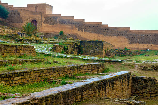 Ruins of the Roman city known as Sala Colonia and the Islamic complex of Chellah, mosque and minaret ruined. Ruins of the Roman city known as Sala Colonia and the Islamic complex of Chellah, mosque and minaret ruined. Chellah is the necropolis of Rabat. Morocco. sala colonia stock pictures, royalty-free photos & images