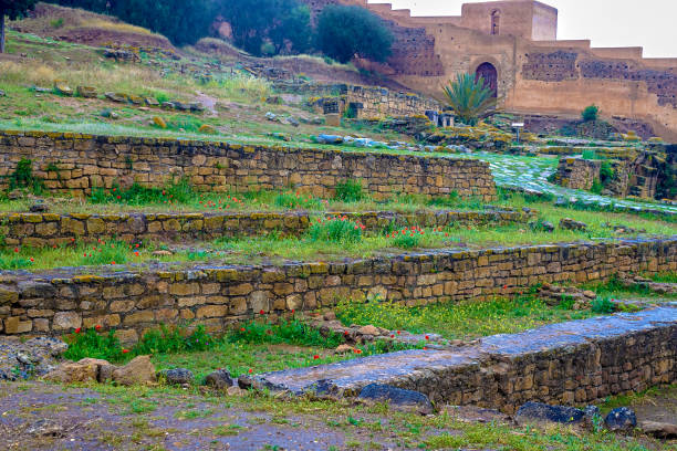 Ruins of the Roman city known as Sala Colonia and the Islamic complex of Chellah, mosque and minaret ruined. Ruins of the Roman city known as Sala Colonia and the Islamic complex of Chellah, mosque and minaret ruined. Chellah is the necropolis of Rabat. Morocco. sala colonia stock pictures, royalty-free photos & images