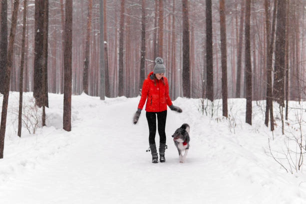 istock young woman walking a dog in a winter forest 1201010007