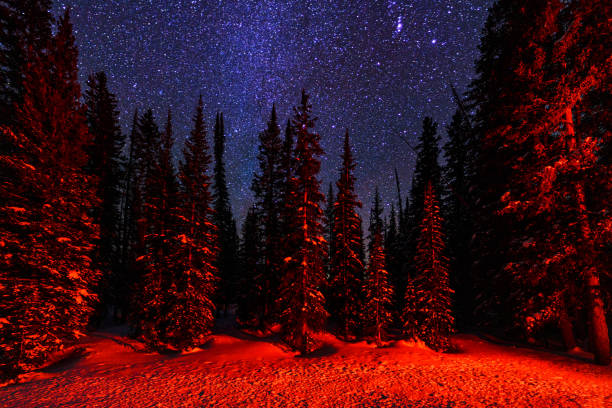 istock Red Forest Trees at Night with Stars Astrophotography 1201011420
