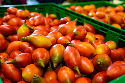 Tamarillo, egg-shaped edible fruit, also called tree tomato, tomate de arbol, tomate andino, tomate serrano, tomate de yuca close up