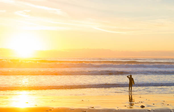 istock Surfer ocean beach sunset sunbeam 1201012304