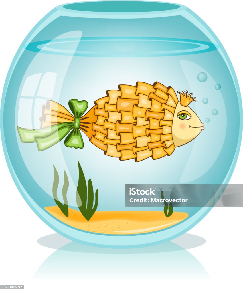 goldfish bowl Goldfish swiming in the bowl vector illustration Animal stock vector