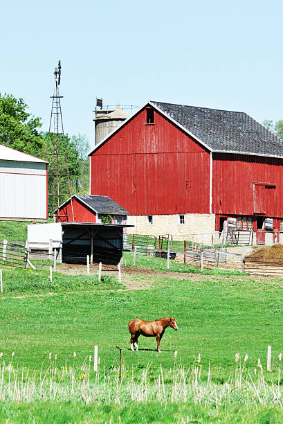 istock Farm Scene with Horse 120101843