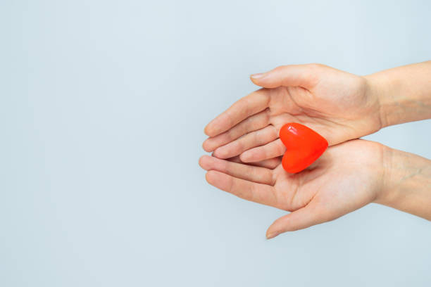 istock Female hands hold heart shape in palms on white background with copy space. 1201022399