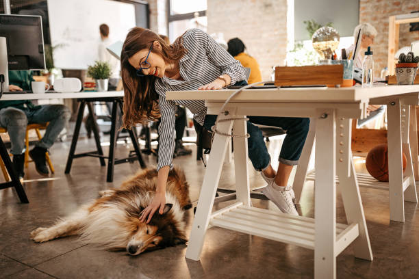 frau streichelt ihren hund im büro - people business dog owner stock-fotos und bilder