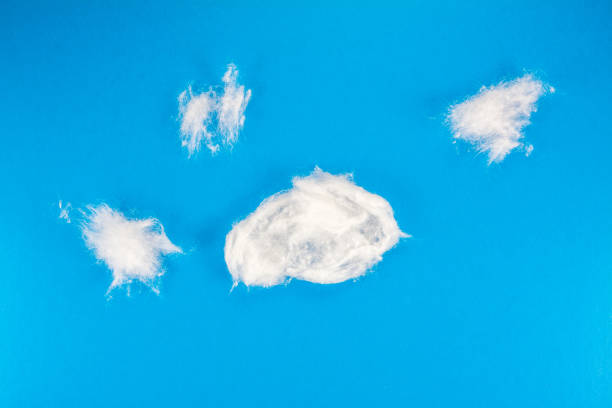 istock small rolls of medical cotton on blue background 1201026436