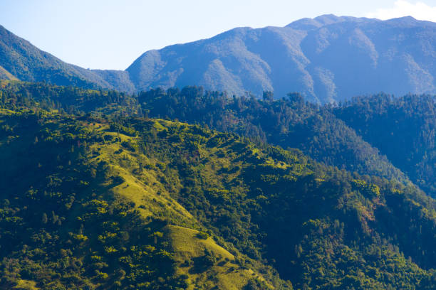 Blue Mountains in Jamaica