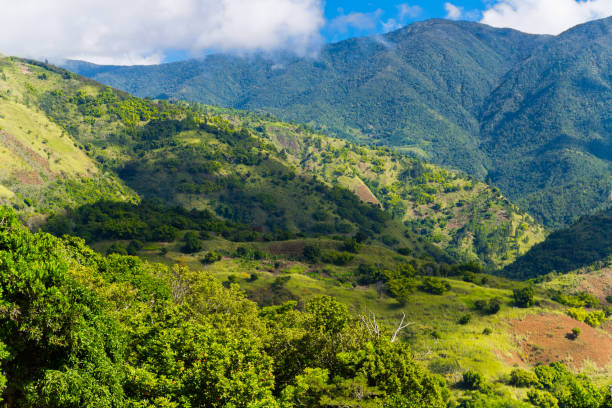 istock Blue Mountains in Jamaica 1201028106