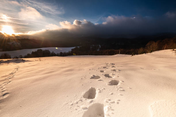 footprints in snow
