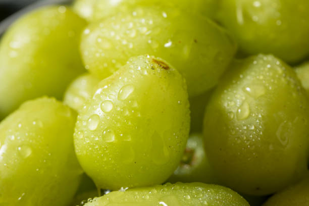istock Organic Raw Green Grapes 1201030324