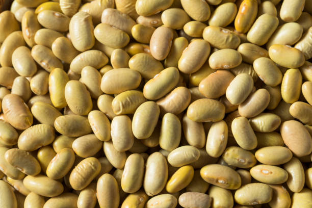 istock Raw Yellow Organic Perruano Beans 1201030761