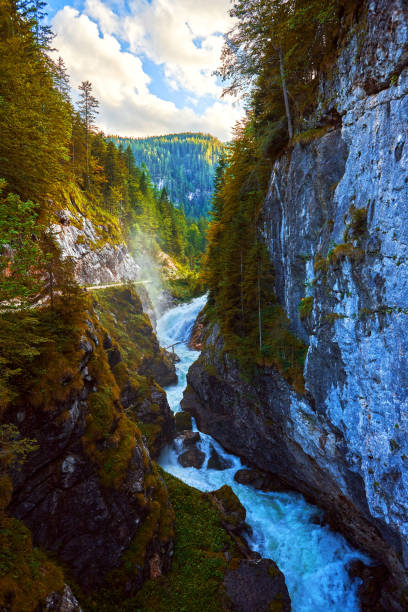 istock Mountain watercourse in Austria.  Salzkammergut region 1201030832