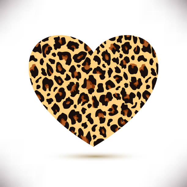 Hand Drawn Heart With Leopard Pattern Stock Illustration - Download Image  Now - Heart Shape, Leopard Print, Abstract - iStock