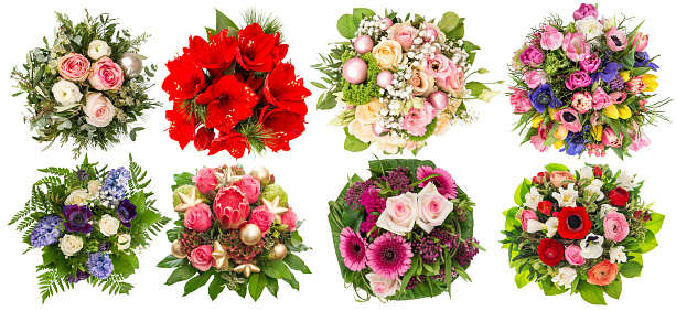 Flowers bouquet for Christmas and New Year holidays. Roses, tulips, amaryllis, hyacinth, protea isolated on white background