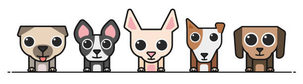 Vector Cartoon Dog Collection 3 Stock Illustration - Download Image Now -  Animal, Animal Behavior, Animal Body Part - iStock