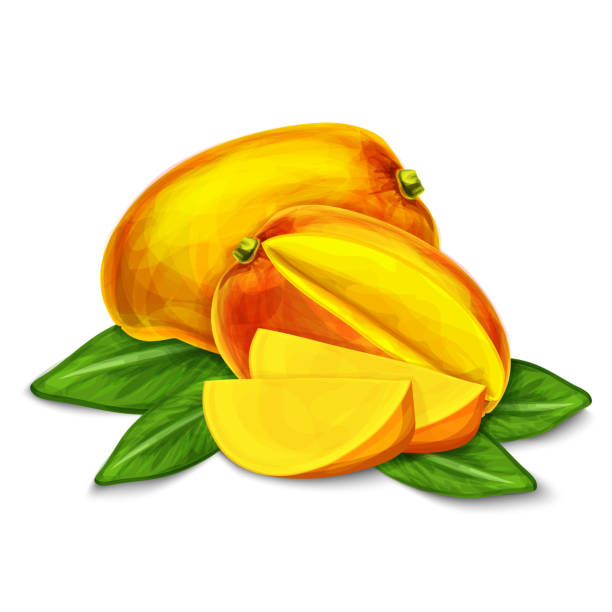 манго изолированы - printout color image food food and drink stock illustrations