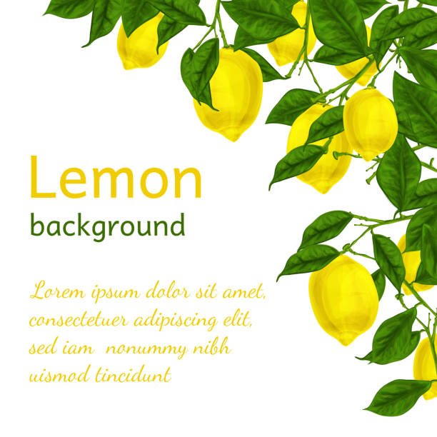 лимонный фон - printout color image food food and drink stock illustrations