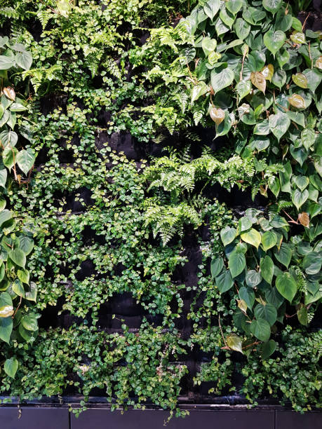 istock Living green wall, vertical garden indoors 1201043258
