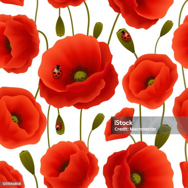 Poppy Pattern Vector Poppy Pattern Seamless 2 Stock Illustration - Download Image Now ...