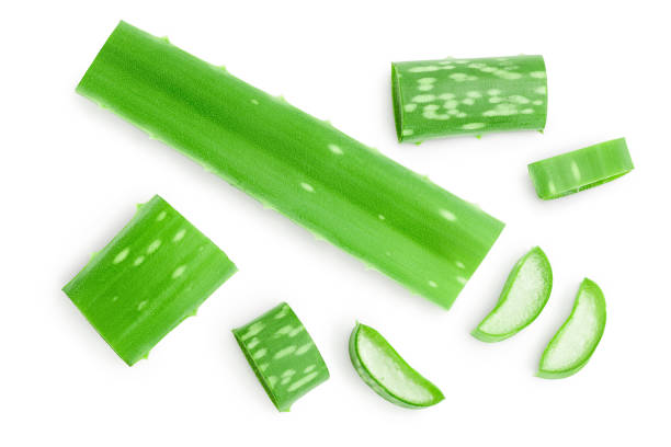 istock Aloe vera with slices isolated on white background. Top view. Flat lay. 1201047162