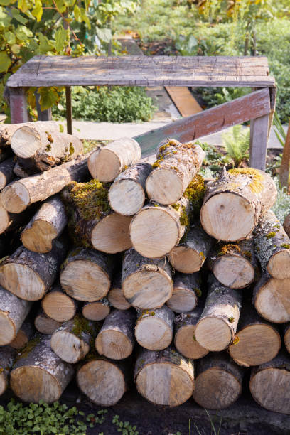 istock Stacks of firewood in the sawmill. 1201049932