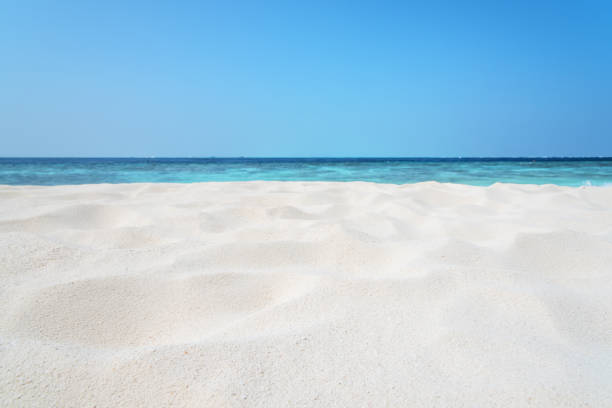 istock Waves of beach sand texture 1201051054