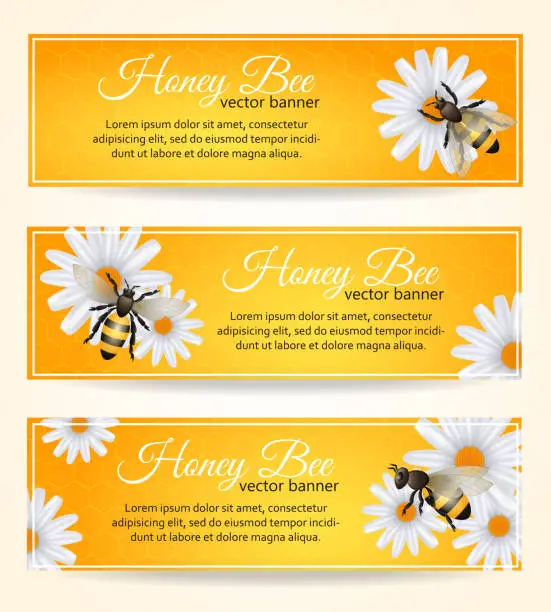 Vector illustration of bee banners