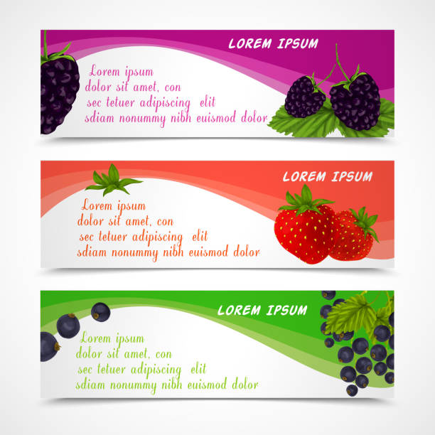 ベリーバナー2 - currant berry fruit black vector点のイラスト素材／クリップアート素材／マンガ素材／アイコン素材