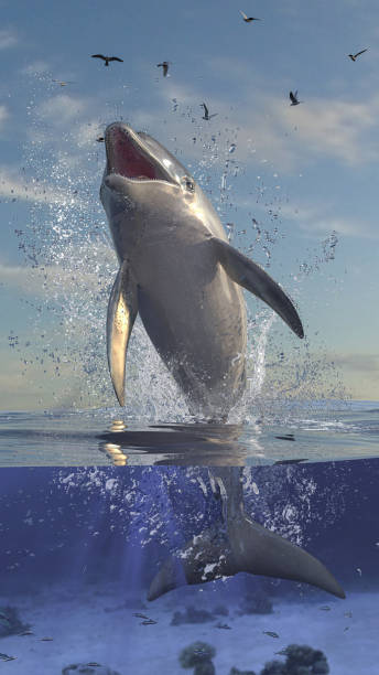 istock Leap and jump over waterline from Bottlenose dolphin in half underwater half sky scene 3d rendering 1201059449