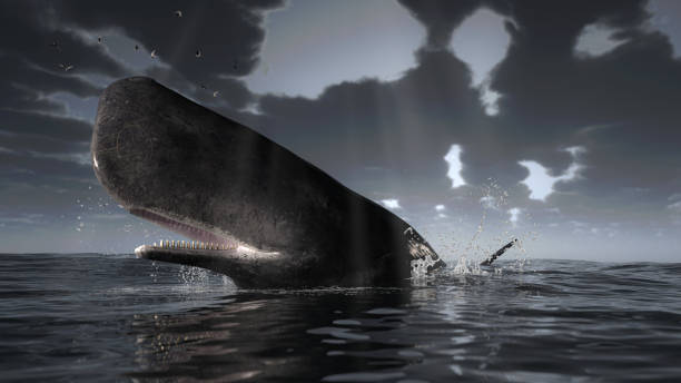 istock Cachalot sperm whale is over the sea surface under dramatic overcast weather 3d rendering 1201059465