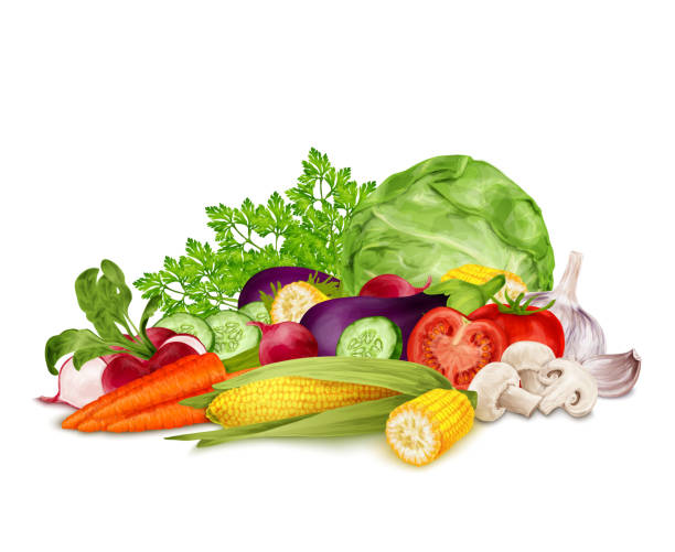 白に新鮮な野菜 - radish white background vegetable leaf点のイラスト素材／クリップアート素材／マンガ素材／アイコン素材