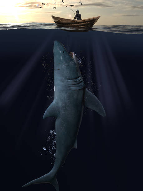 istock Great white shark on hook is getitng up to surface while fisherman waiting in small boat 3d rendering 1201059505